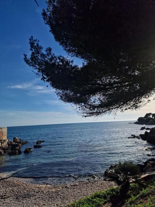 T2 Neuf, Parking Prive,Acces Mer Bandol Exteriör bild